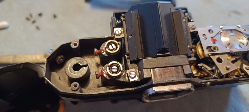 Serviced, reassembled and adjusted spindle bearings, safed with a drip of nail polish